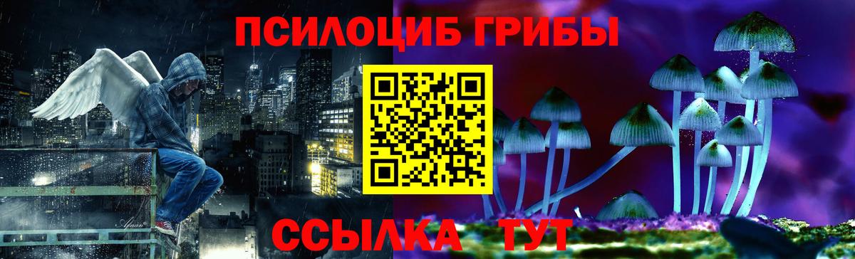 Псилоцибиновые грибы GOLDEN TEACHER  Псилоцибиновые грибы Psilocybine cubensis  Вход с VPN  Боровичи 
